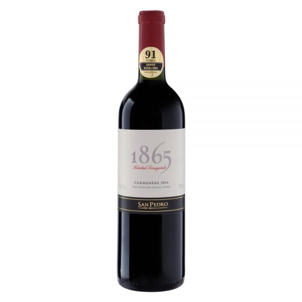 vino tinto 1865 Terruño san pedro carmenere